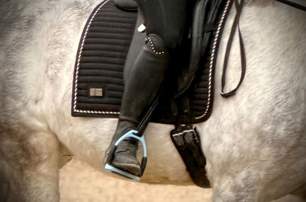 Stinchiere & Fasciature: Chaps Busse schwarz – Usato da Wettswil venduto da Jeennifeer 3