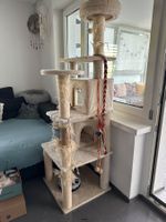 Katzenbaum Beige