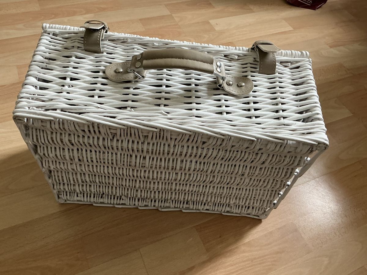 Globus Altro per la casa: Picknick  – Usato da St.Gallen venduto da nat_7n75 3