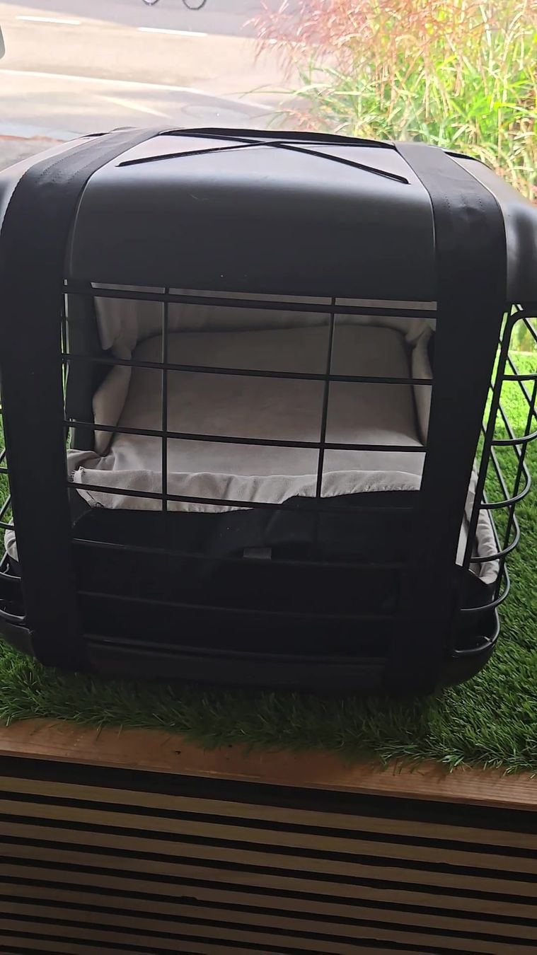 Niches, paniers: 4pets Transportbox Caree  – D'occasion à Basel par Moebeloutlet1 1