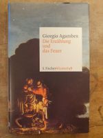Die Erzähiung und das Feuer - Giorgio Agamben - Fischer