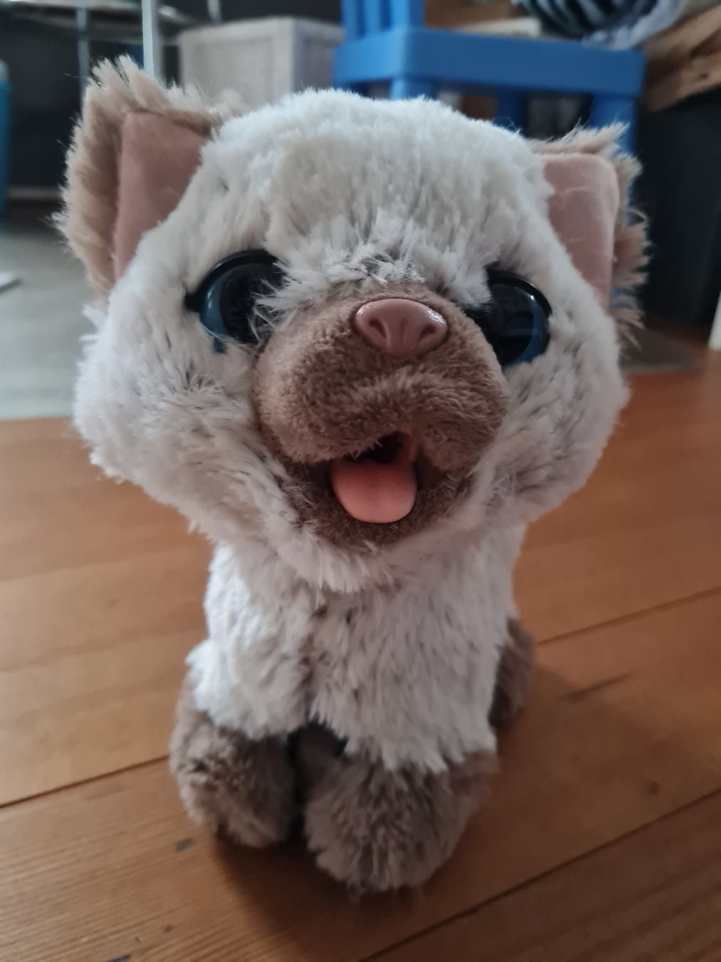 Jouets:  Katze Elektronisch mit Futter – D'occasion à Würenlos par Dodo7 2