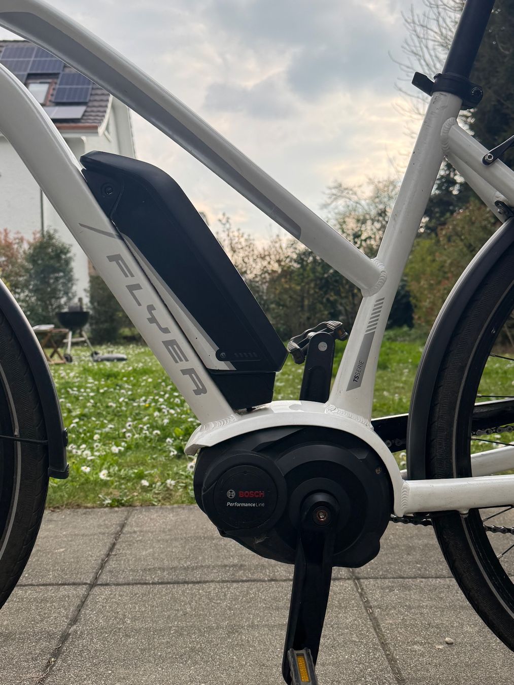 Flyer Biciclette: m-Way Flyer 15 TS 7.60 HS TM Bosch – Usato da Basel venduto da sch_2cbs 4