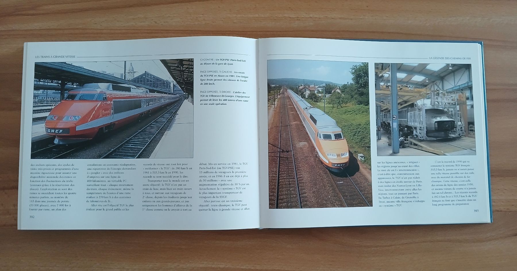 Libri: Le livre d'or des Trains – Usato da Le Sentier venduto da arc_2thy 6
