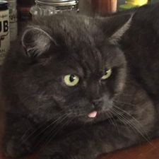 Profile image of Slapsh0t