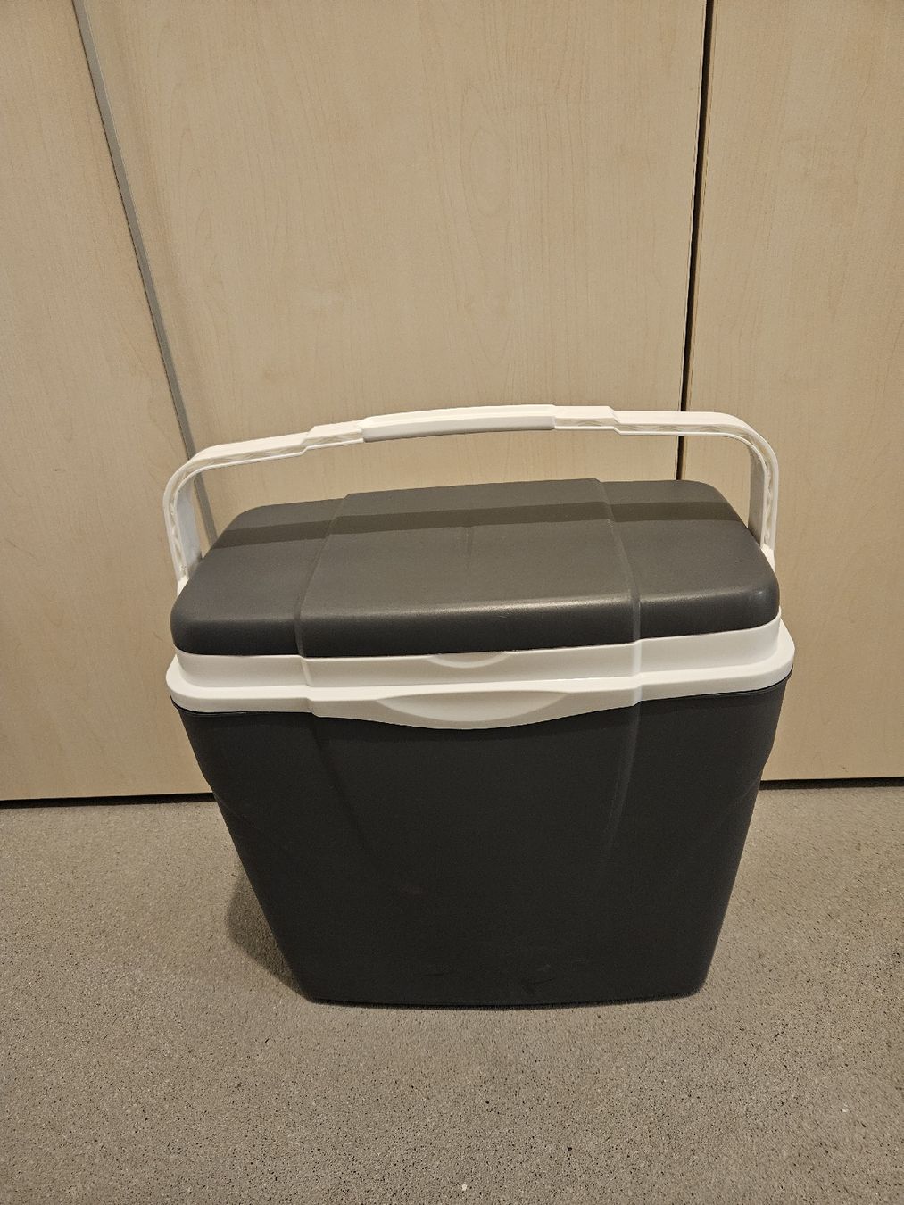 Taschen: Kühlbox – Gebraucht aus Kriens von noe_5hkf 1