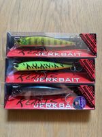Duo Realis Jerkbait 100SP