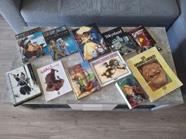 Lot de BD et livres divers