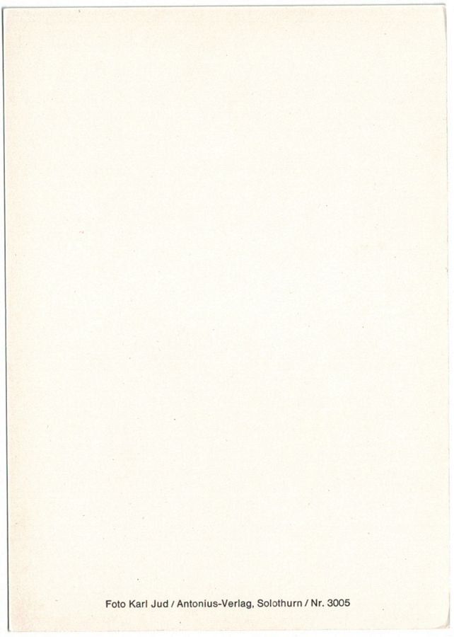Cartoline postali: Weisse Katze im hohen Gras – Usato da Frauenfeld venduto da POML 1