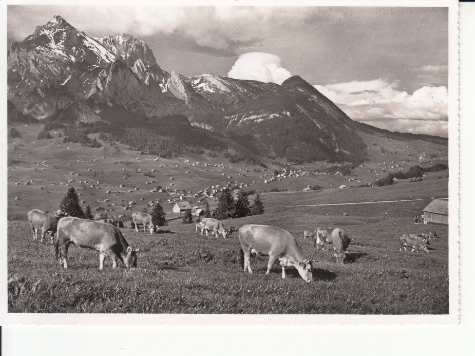 Ansichtskarten: Obertoggenburg ca. 1945 – Gebraucht aus Bürglen TG von StampGraf