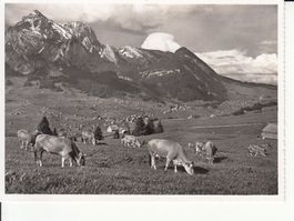Obertoggenburg ca. 1945