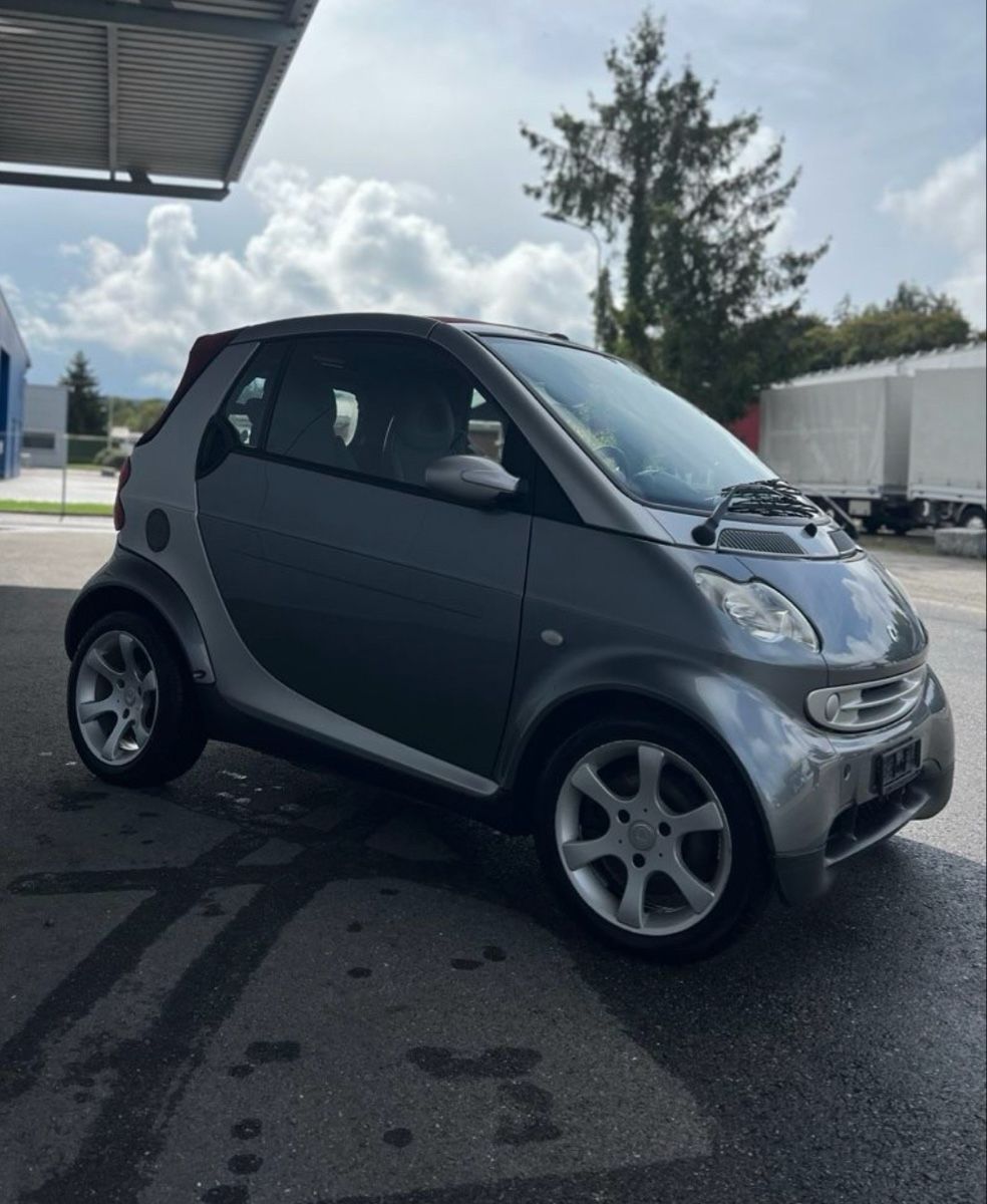 Smart Automobili: Smart Cabrio – Usato da Meisterschwanden venduto da Scania78 2
