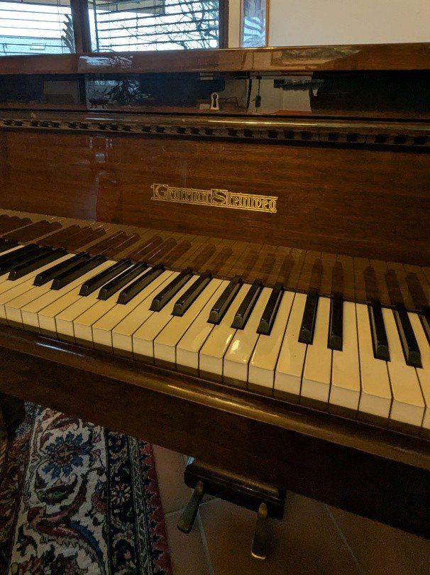 Strumenti musicali: Piano à queue – Usato da TANNAY venduto da Berkoricar 6