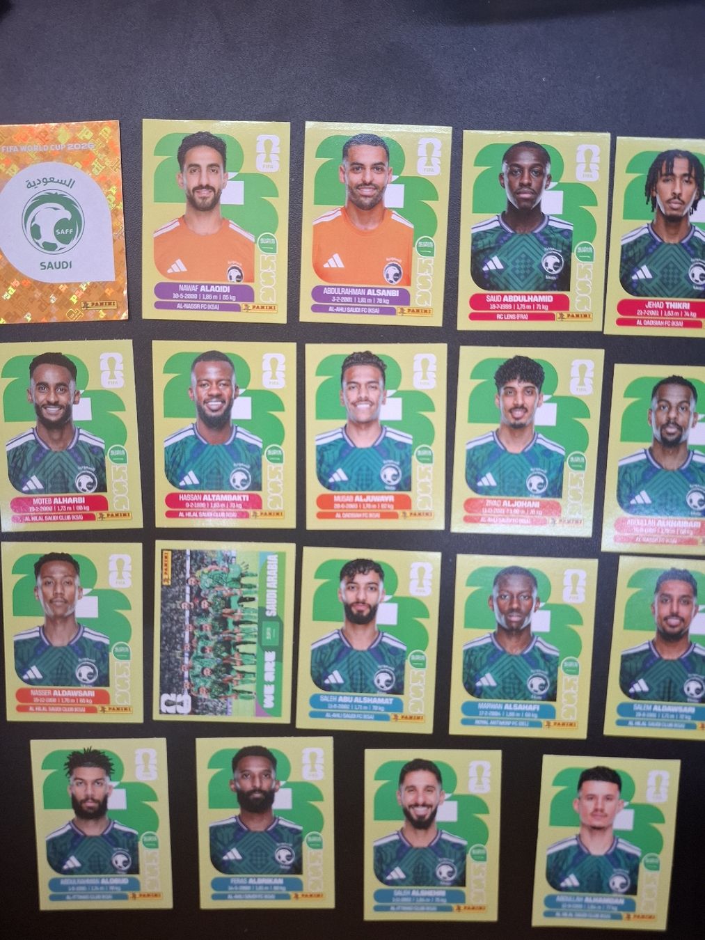 Panini Carte collezionabili: Panini 19 Sticker Saudi-Arabien  – Nuovo (secondo la descrizione) da Lieli venduto da Andrin.1901