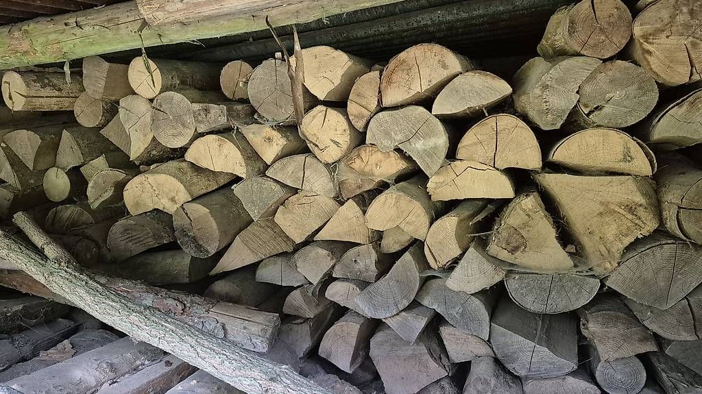 Articles en bois: Brennholz – D'occasion à Fisibach par Lorobin