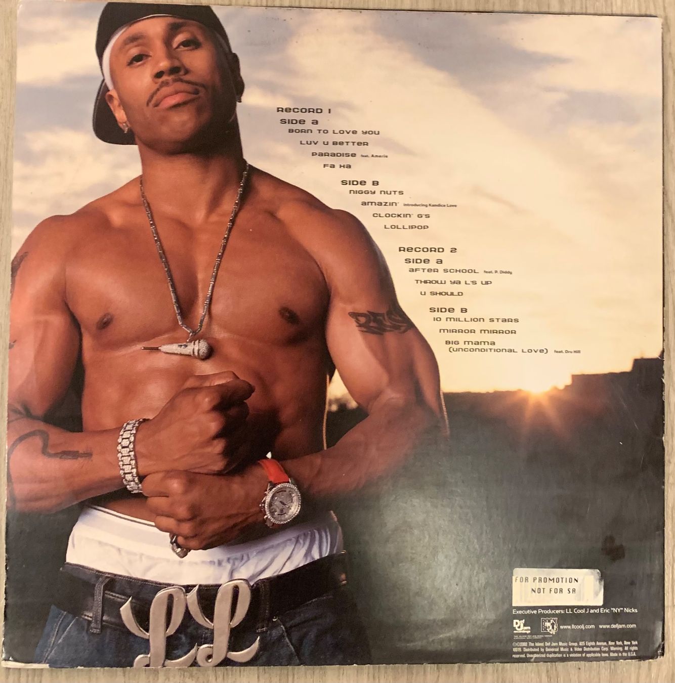 Dischi in vinile: LL COOL J - 10 D-Lp 2002 – Usato da Mühlethal venduto da superfast78 1