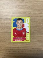 Panini FIFA WC CZE 7 