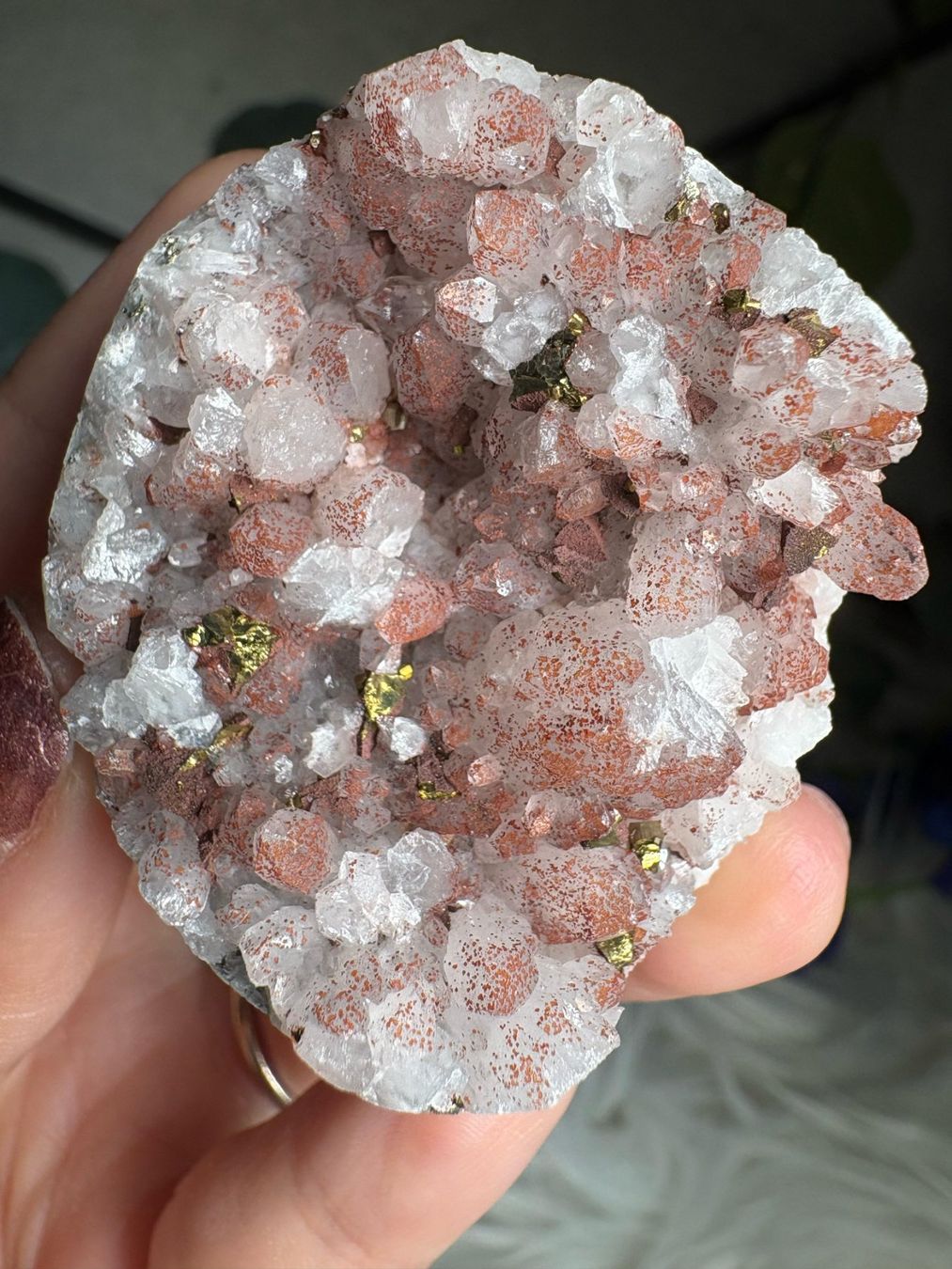 Pietre preziose: Roter Quarz-Cluster mit Pyrit – Nuovo (secondo la descrizione) da Neuheim venduto da m.hald 1