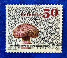 Nr.1506 Gemeiner Strubbelkopfröhrling Dauermarken GESTEMPELT