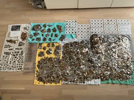 Mega Münzen Lot
