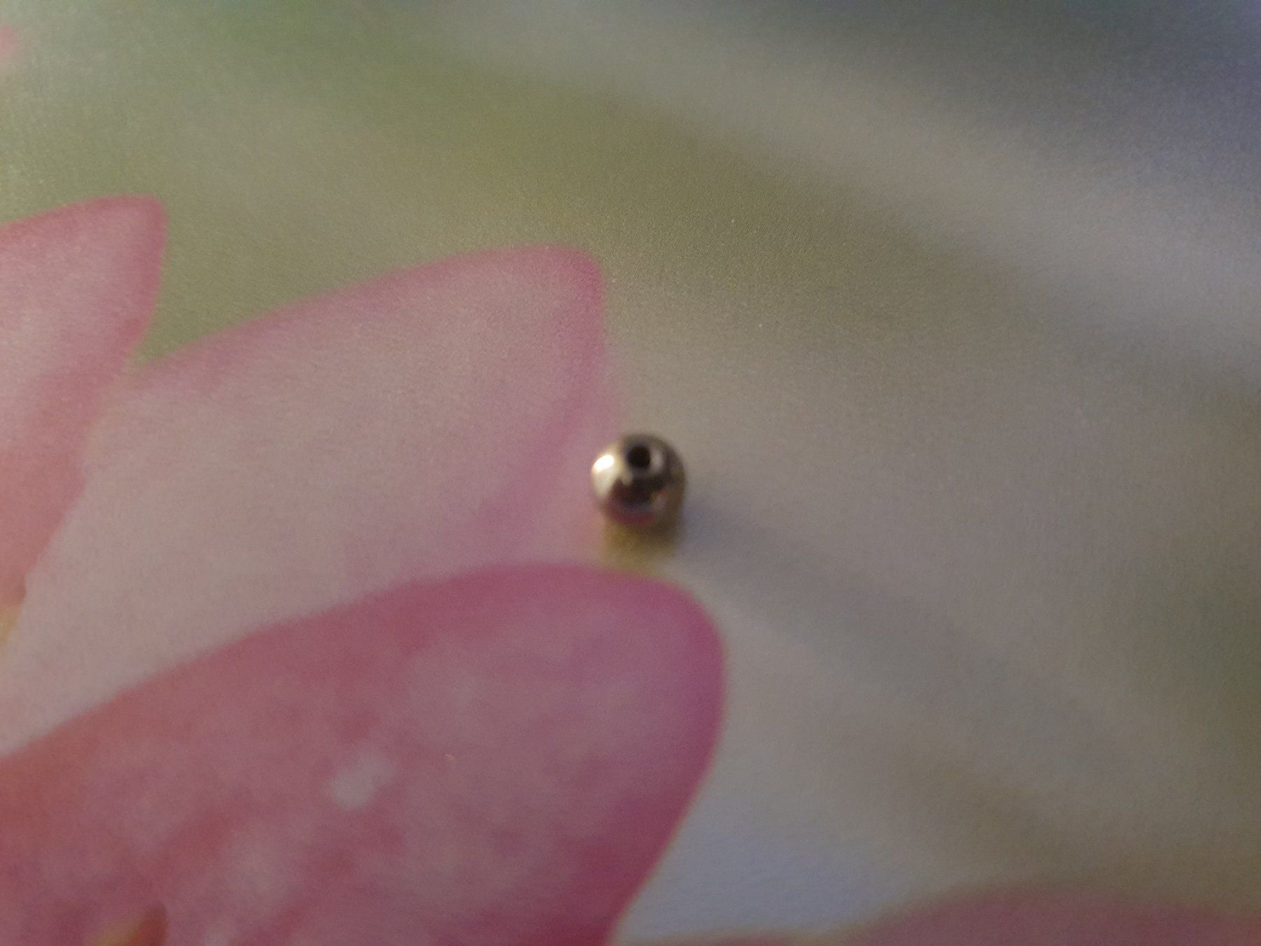 Gioielli per piercing: Piercing Stab mit 4 wechsel Kugeln – Nuovo (secondo la descrizione) da Zweidlen venduto da Shubli 7