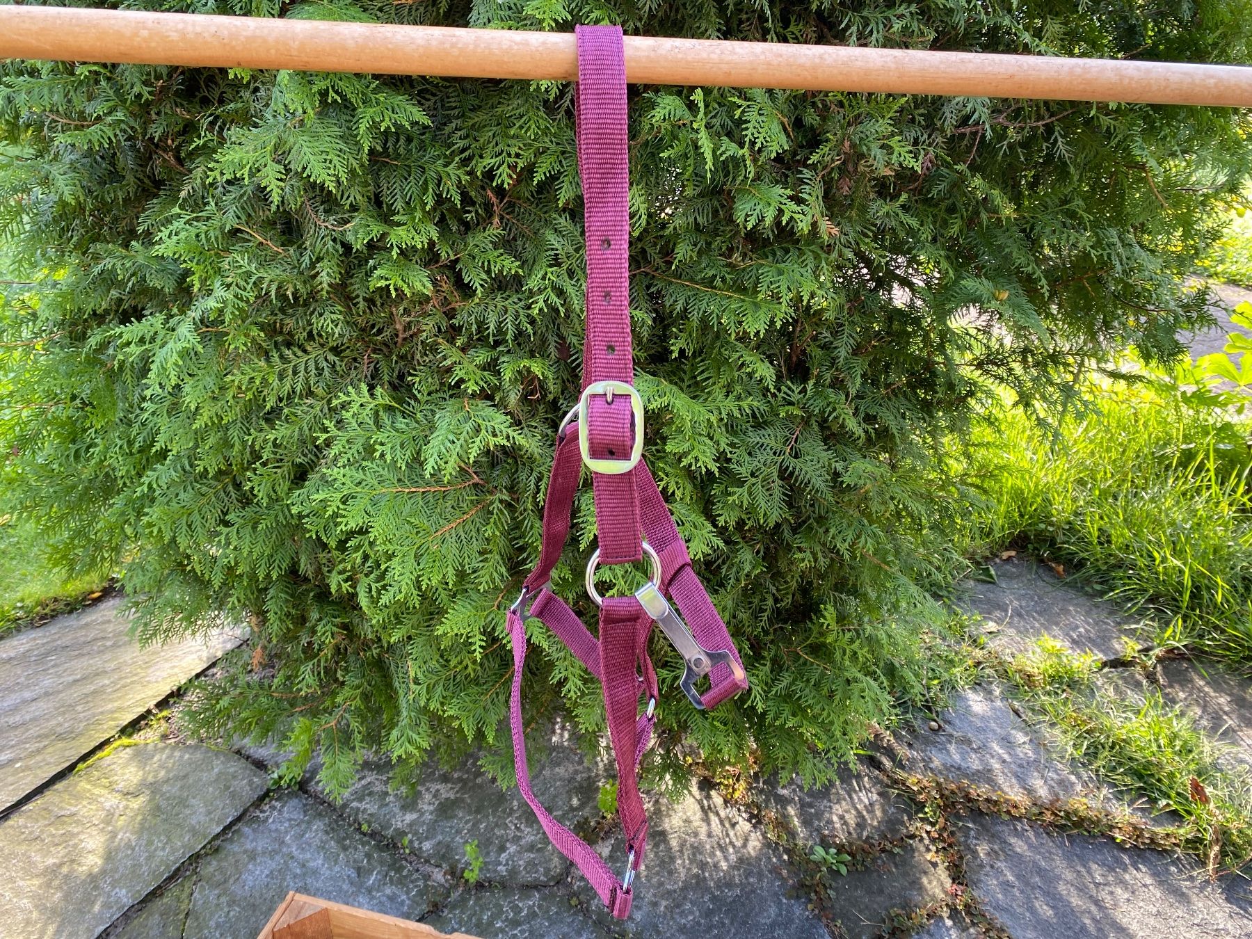 Kutschen: 50 schöne Nylonhalftern – Neu (gemäss Beschreibung) aus Feldbach von Fea1 6