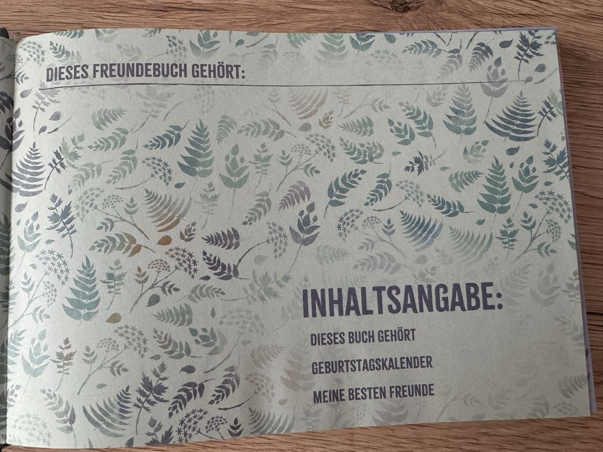 Album: Freundebuch Frozen – Nuovo (secondo la descrizione) da Grabs venduto da Shelly_87 1