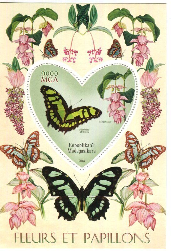 Tous les timbres: Block "Schmetterlinge". Madagaskar. – Neuf avec emballage d'origine à Basel par Butsch5