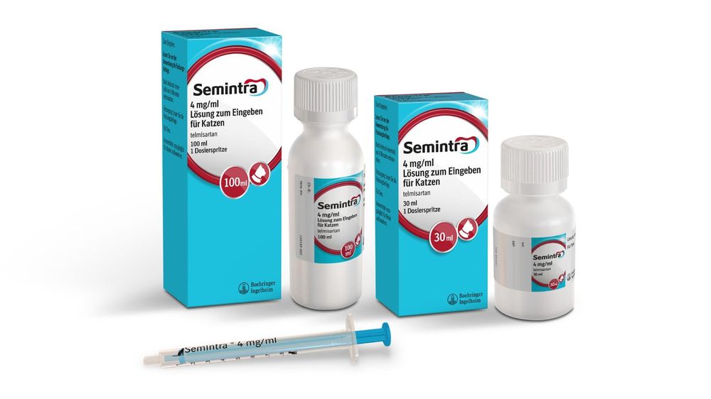 Semintra Neu 100 Ml Katzen Niereninsuffizienz Kaufen Auf Ricardo