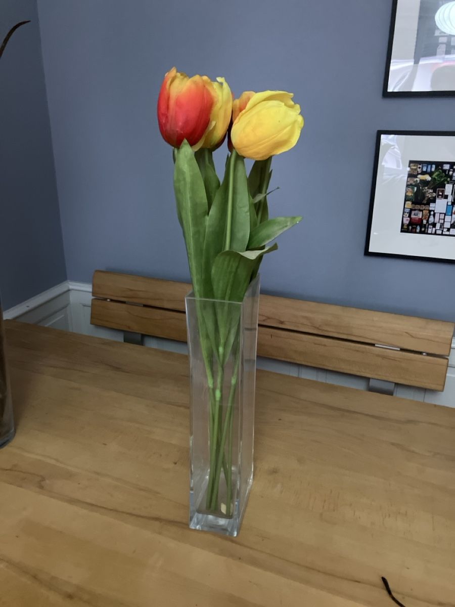 Vasi & Recipienti: Vase aus Glas 45cm hoch – Usato da Basel venduto da Wiub 2