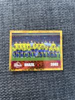 Panini FWC 16