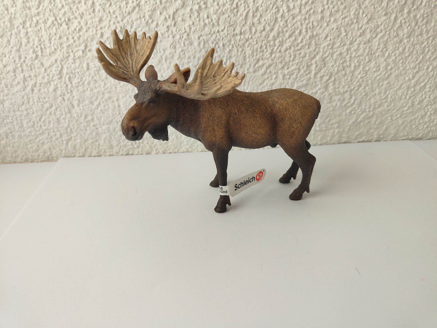Schleich Statuette: Schleich Elch Waldtiere Sammlung – Usato da Thalwil venduto da FigurenFreunde
