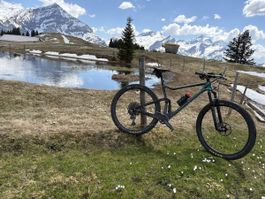 Scott Spark RC 900 AXS, XL