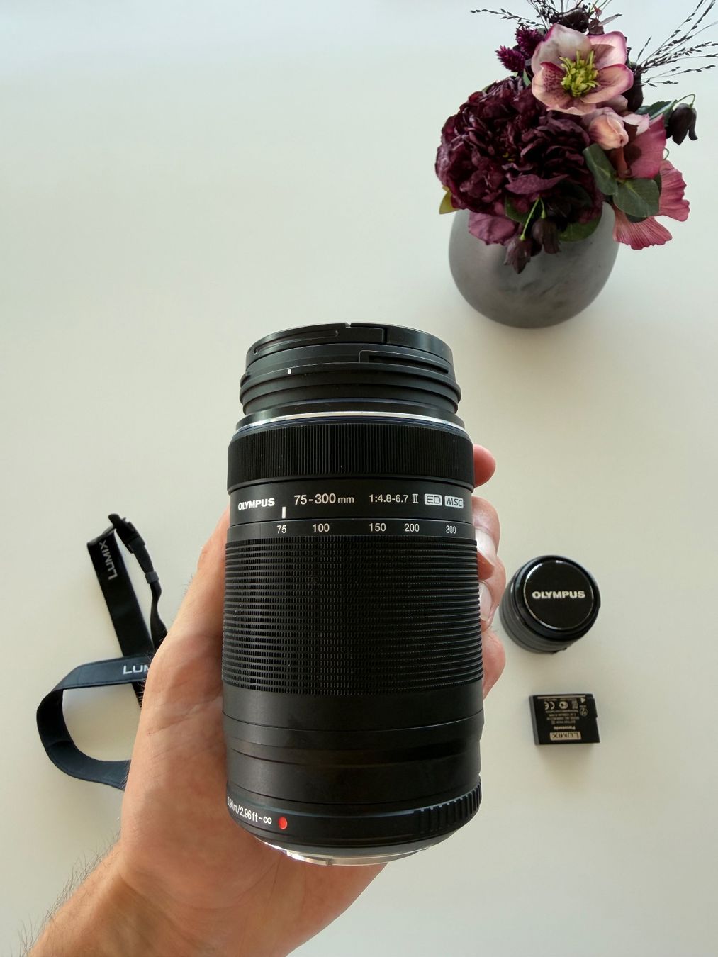 Panasonic Fotocamera: Panasonic Lumix GX8 – Usato da Berlingen venduto da cr7yann 3