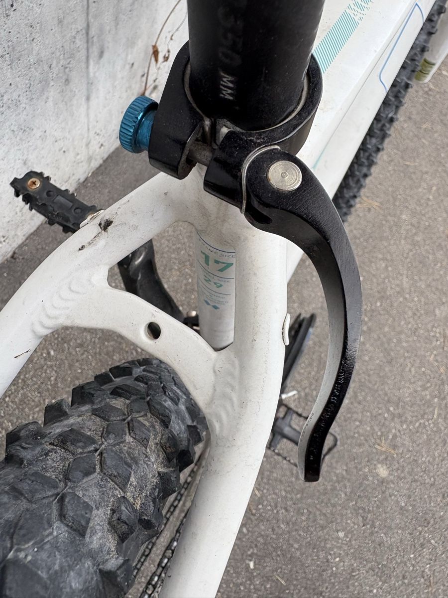 Cube Vélos: Cube Access Pro Damen MTB 29Zoll – D'occasion à Zürich par Sophie_Binz 3