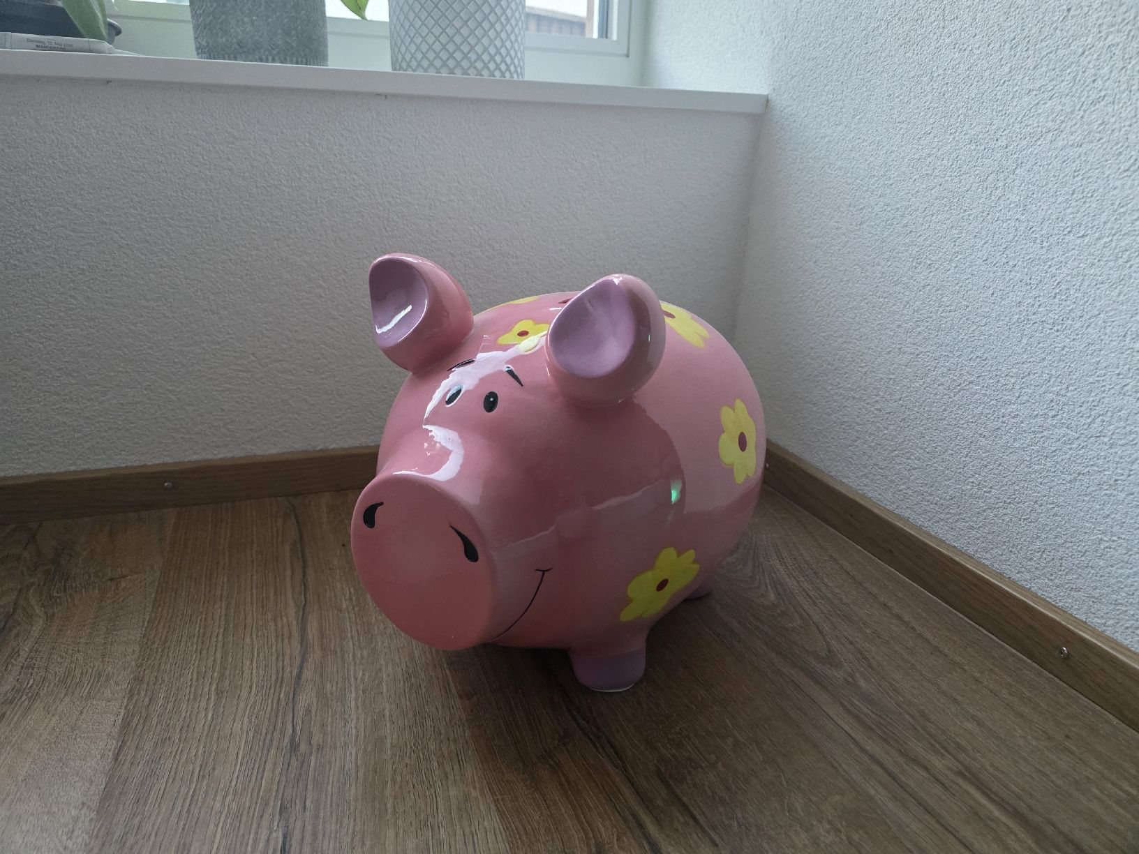 Salvadanai: XXL Sparschwein – Usato da Ziefen venduto da sch_nx7p