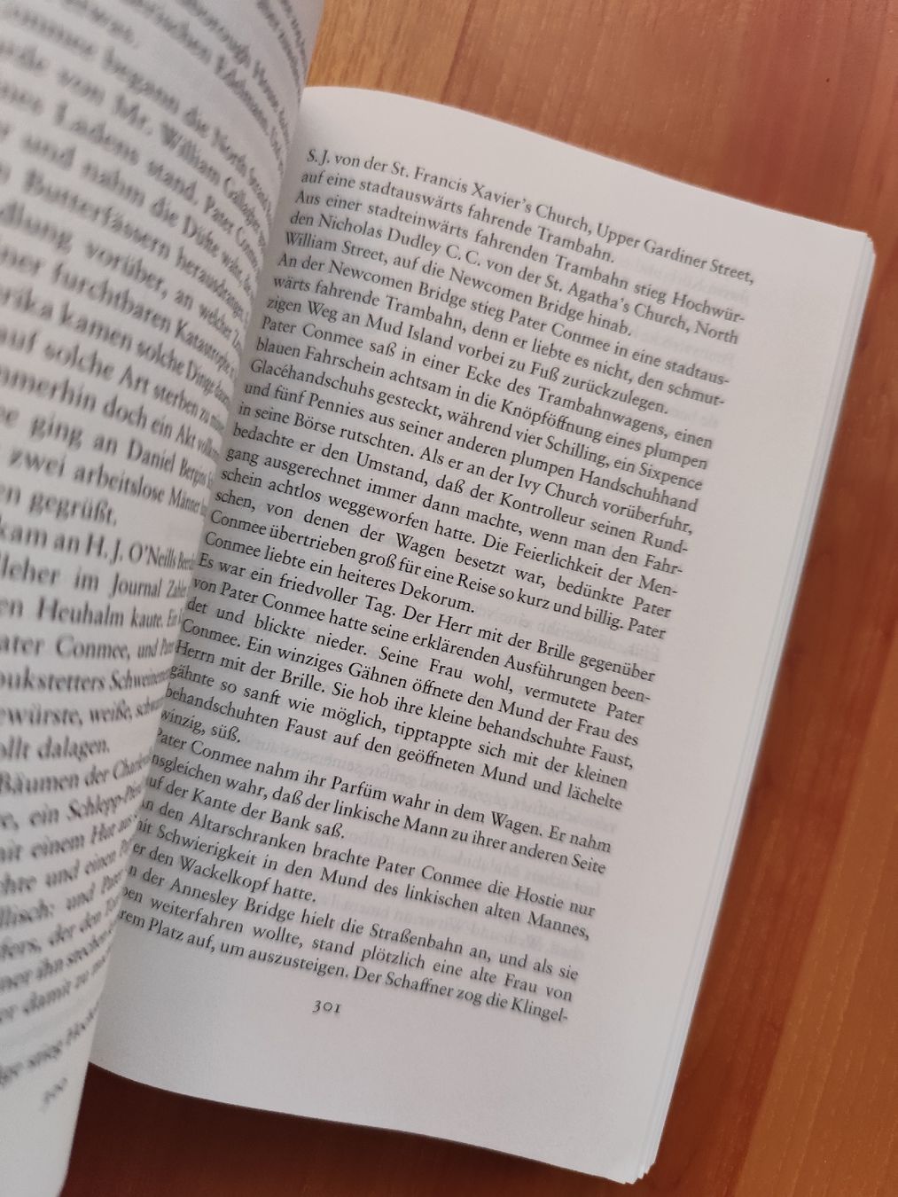 Libri: James Joyce Ulysses German Edition Taschenbuch  – Usato da Mägenwil venduto da VintageGirly 4