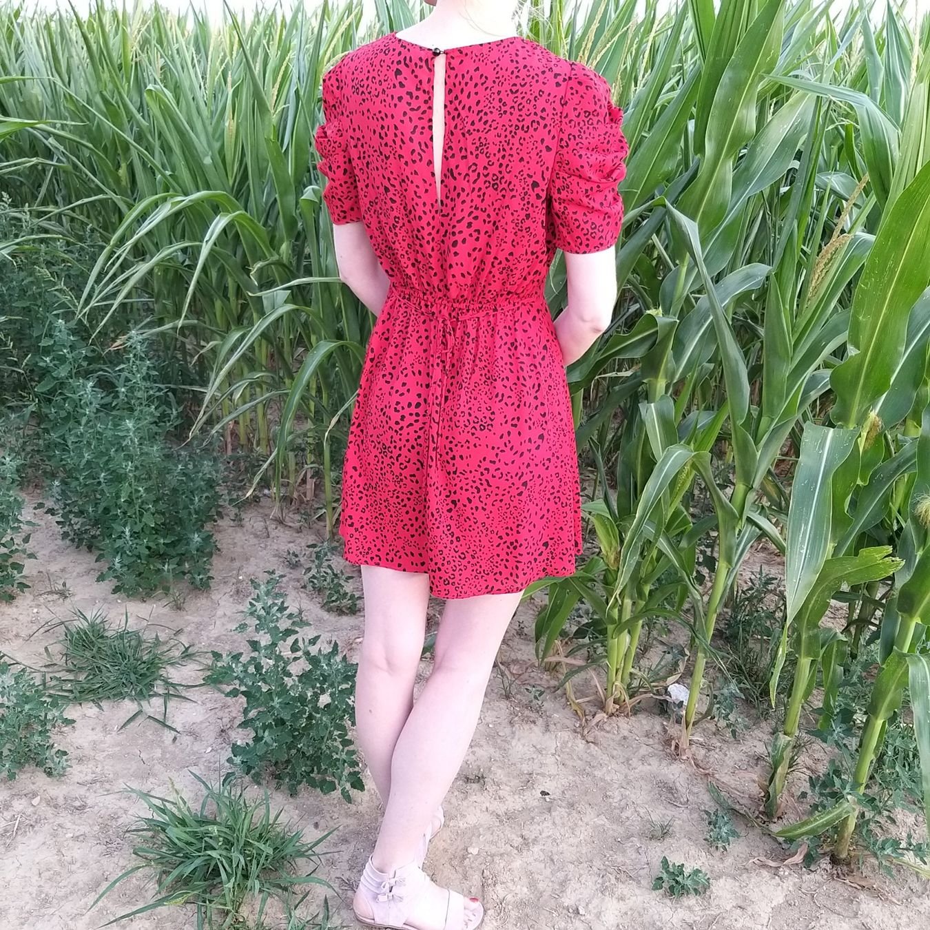 Robes: Robe – Neuf (Voir description) à Onnens VD par Bleuet06 1