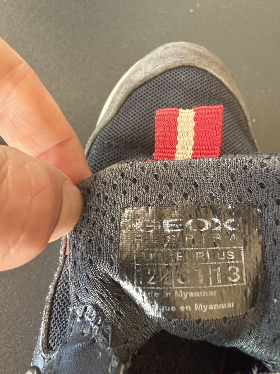 Geox Schuhe für Jungen: Sneakers Geox (Gr. 31) – Gebraucht aus Bern von estrellita2014 5