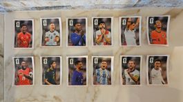 Alle 12 Coca Cola Panini Sticker Fussball WM 2026