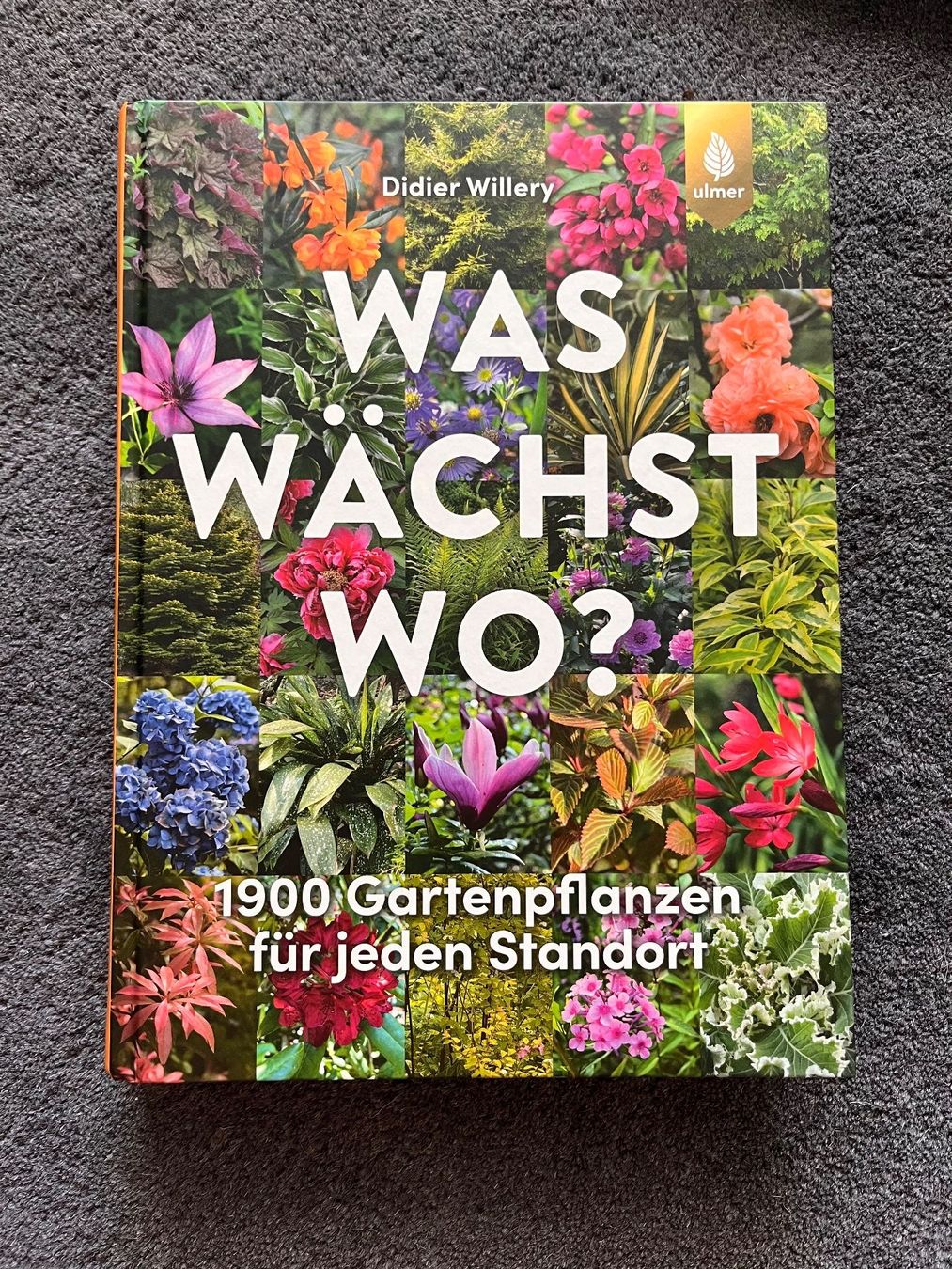 Bücher: Was wächst wo? Didier Willery – Neu (gemäss Beschreibung) aus Ittigen von sbu_17