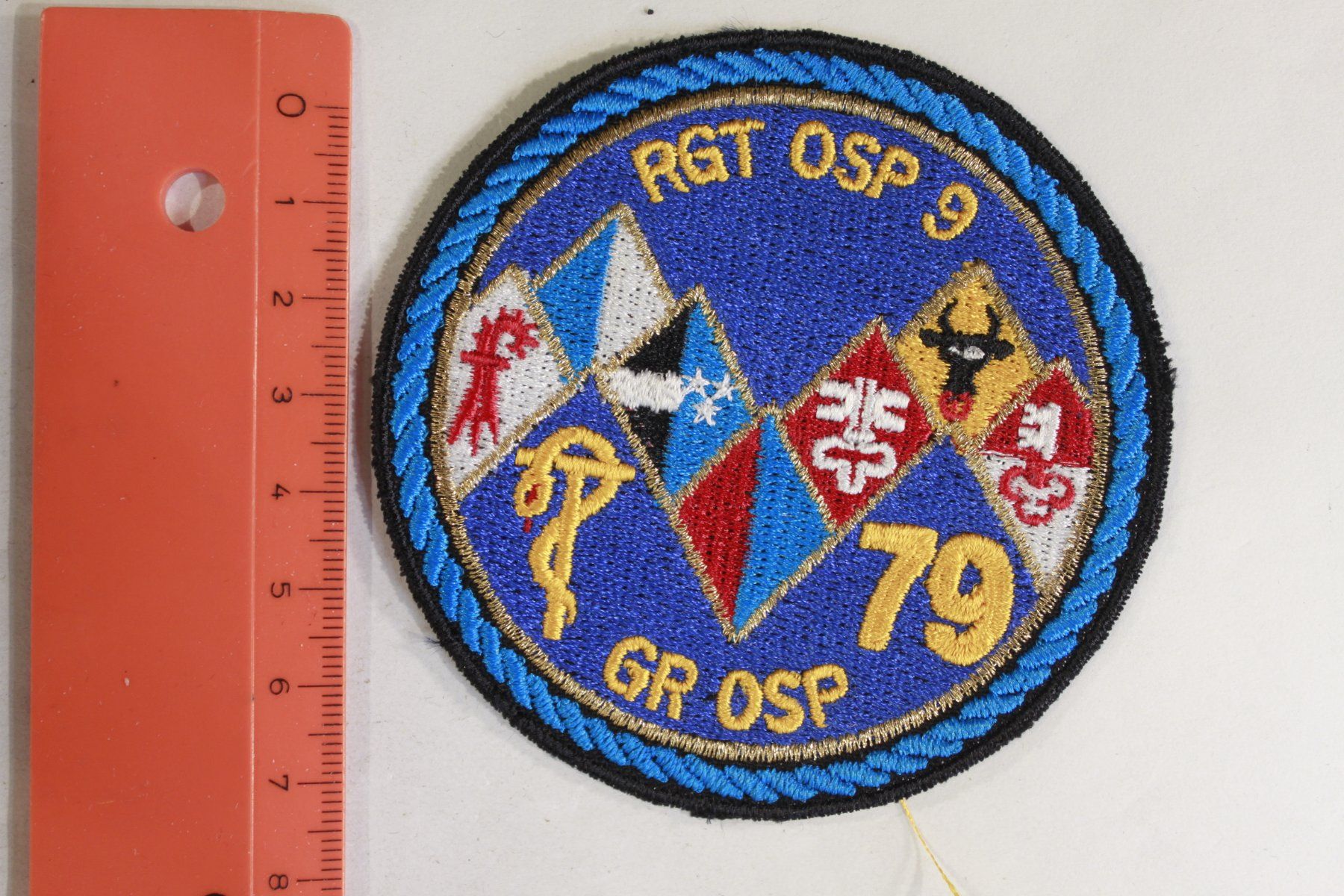 Armée suisse Plaquettes & Badges: 79 Gr  osp – D'occasion à La plaine par 762