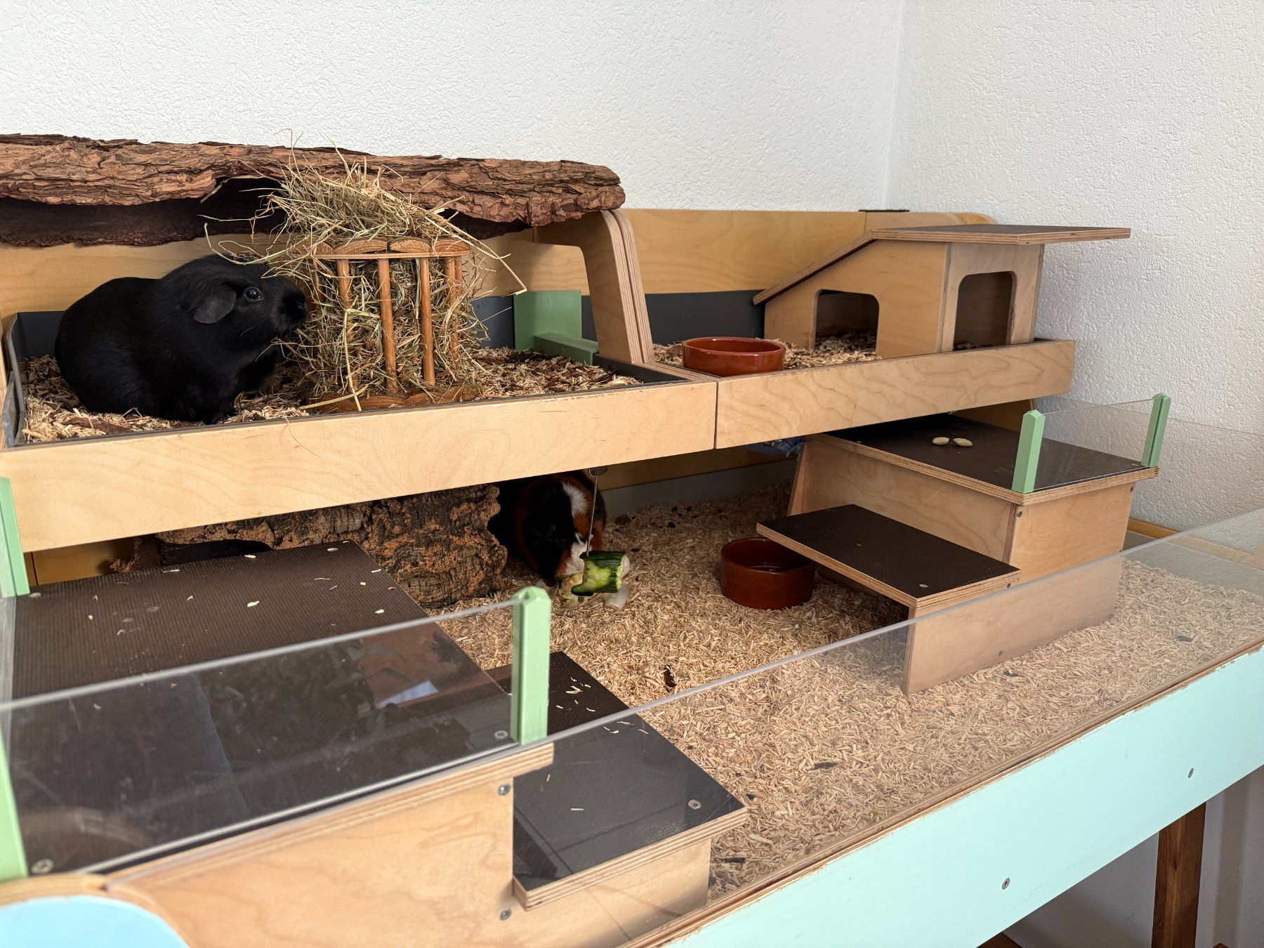 Gabbie, trasporto & Sicurezza: Solider Meerschweinchen-Eigenbau aus 1. Hand – Usato da Aettenschwil venduto da Schmuzli 2