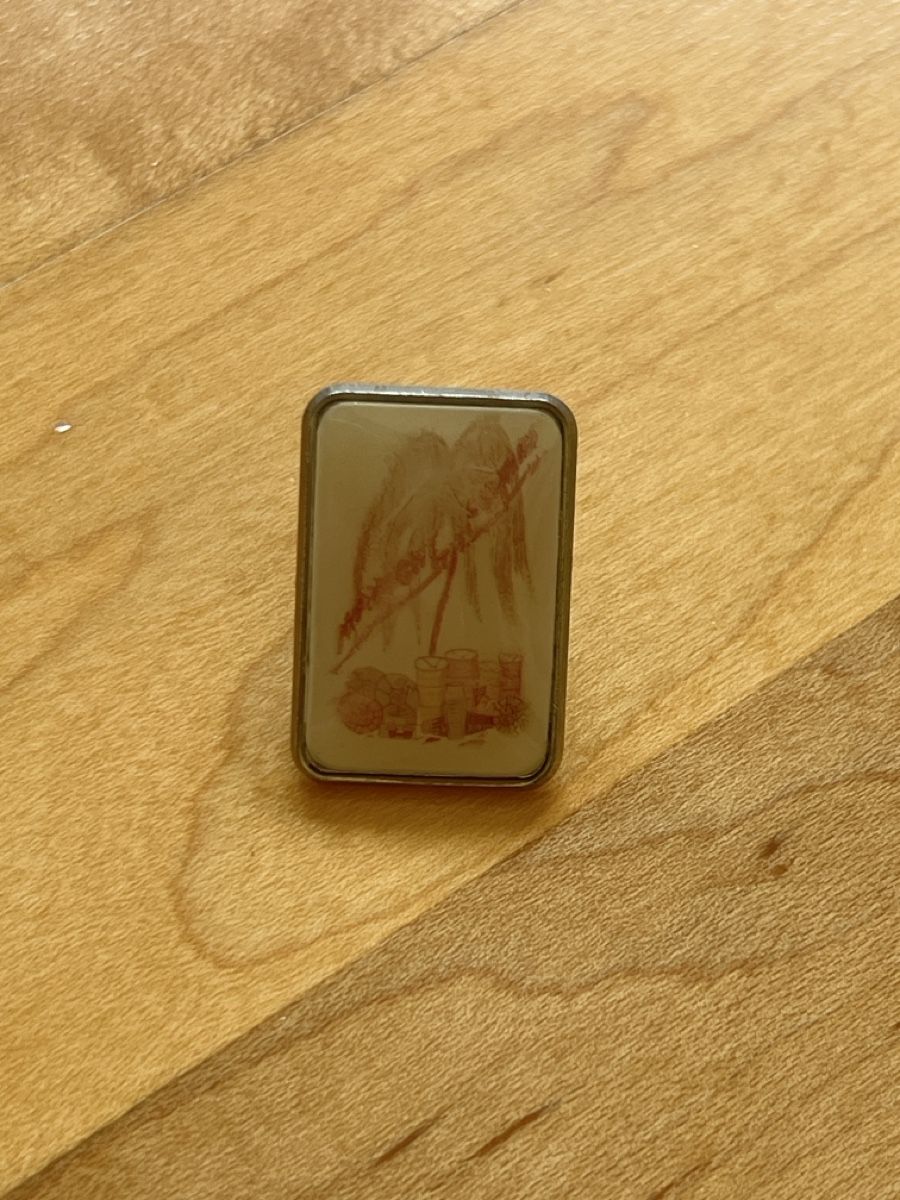 Placchette & Badge: Palmenstrand PIN – Usato da Ottenbach venduto da siiinnaa_77