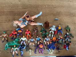 He-Man Sammlung inkl. Tytus!
