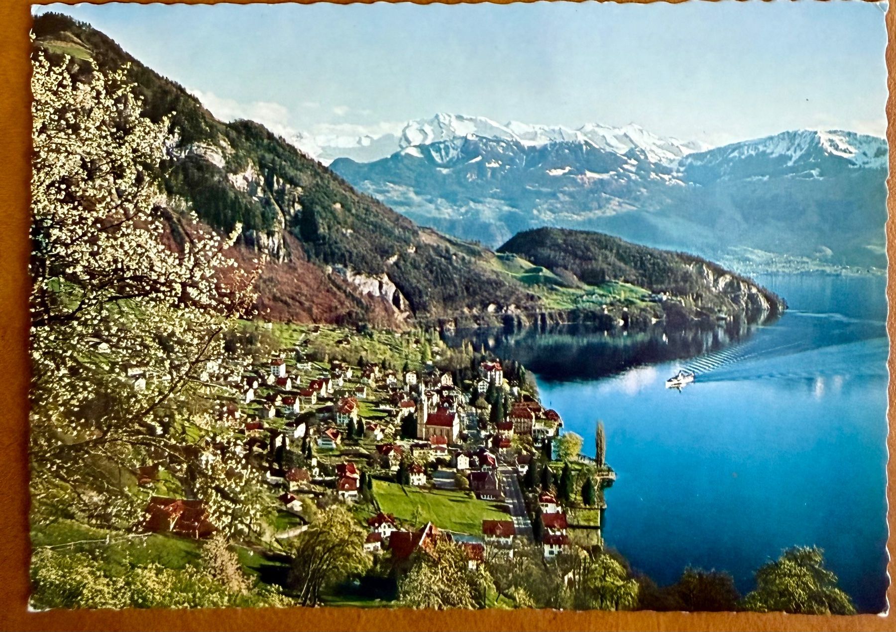 Cartoline postali: Vitznau - Panorama - Dampfschiff - AK – Usato da Lutry venduto da Ediego