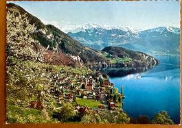 Vitznau - Panorama - Dampfschiff - AK