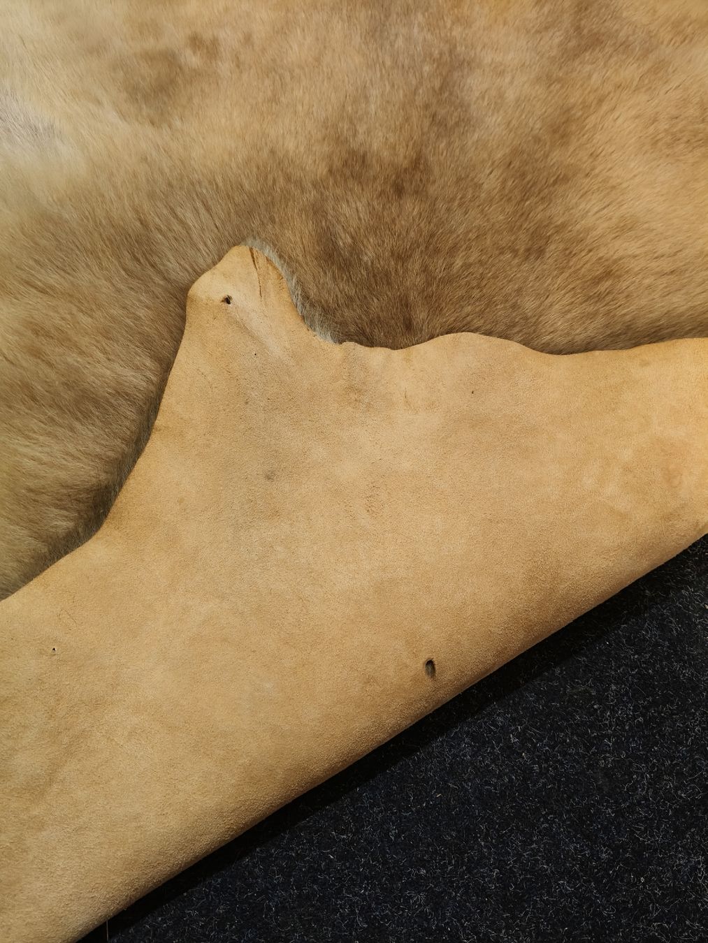 Tapis: Känguru-Fell, 1980  – D'occasion à Zwingen par inf_2blh 2