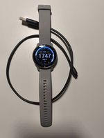 Garmin Venu 2 Plus (Silber / Hellgrau)