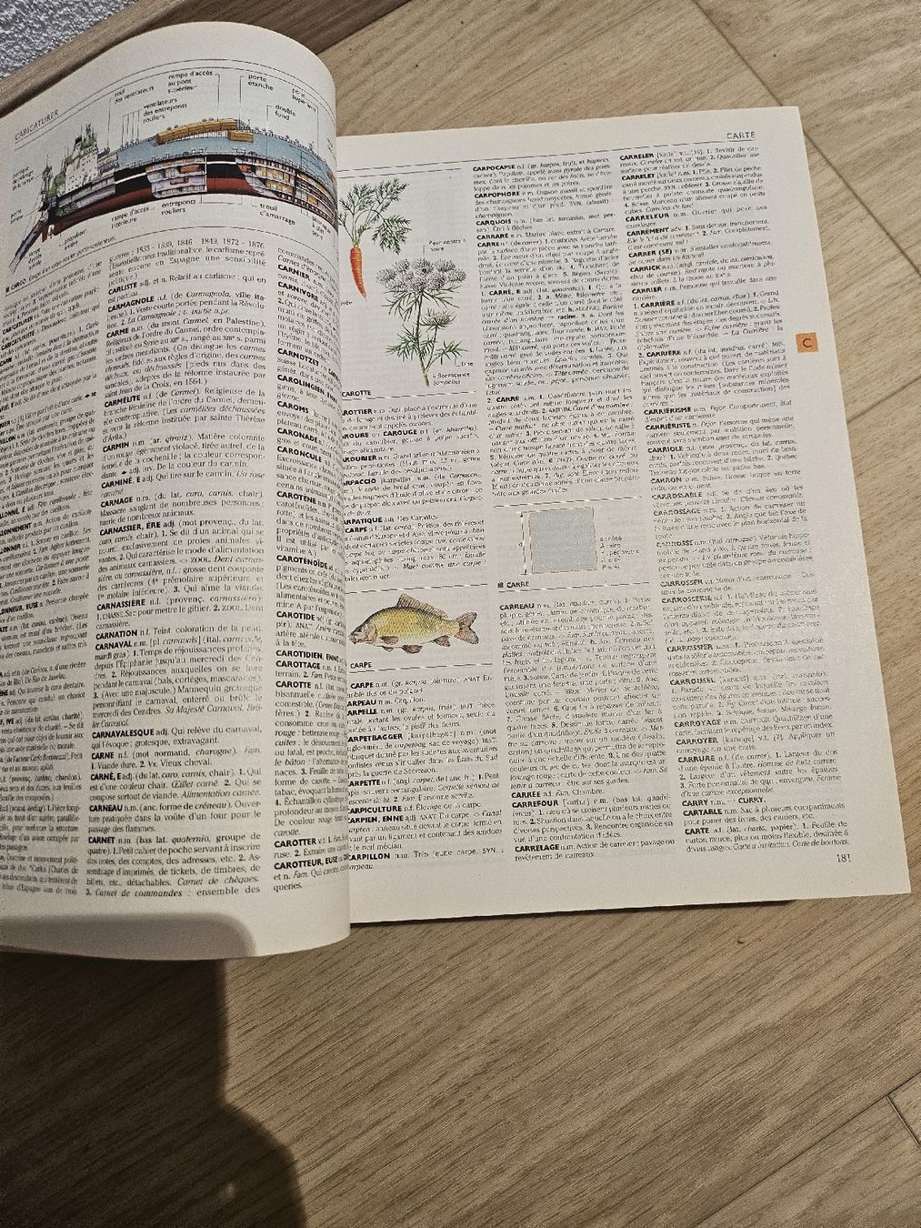 Libri: Le Petit Larousse illustré 2001 – Usato da La Joux FR venduto da car_ck96 4